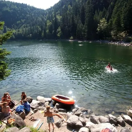 6 Pers A 5 Km De La Bresse Apartman *